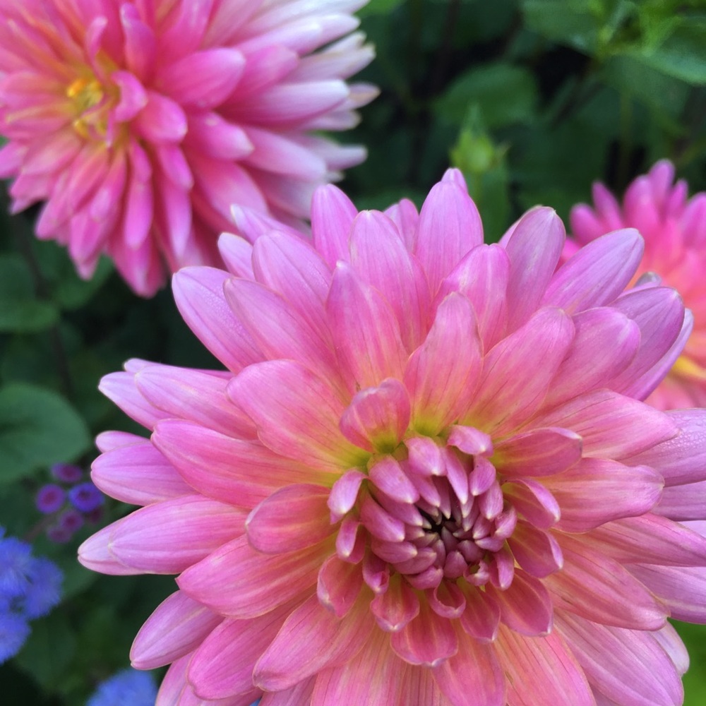 Meet your Posher, Catherine